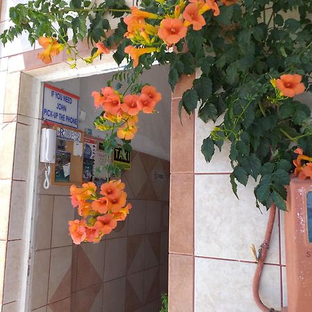 Ladikos Beach Hotel Kardamena  Dış mekan fotoğraf