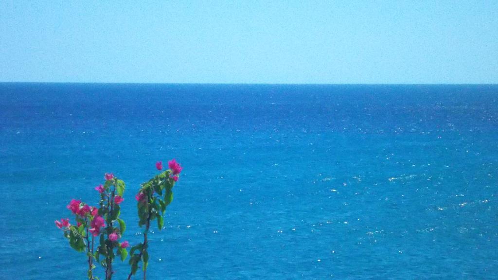 Ladikos Beach Hotel Kardamena  Oda fotoğraf
