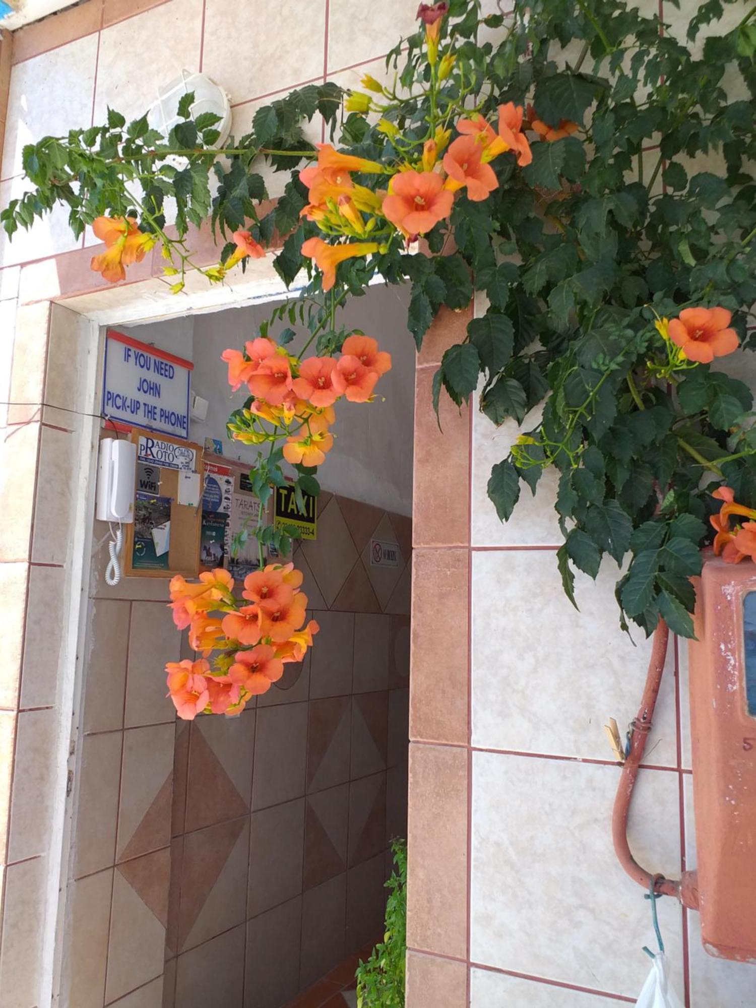 Ladikos Beach Hotel Kardamena  Dış mekan fotoğraf